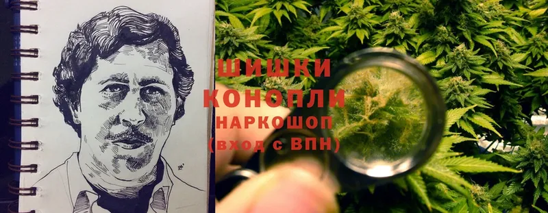 Бошки марихуана SATIVA & INDICA  что такое наркотик  Мирный 